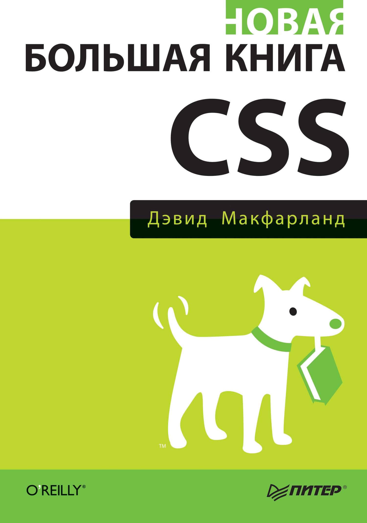 новая большая книга css